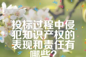 投標(biāo)過程中侵犯知識(shí)產(chǎn)權(quán)的表現(xiàn)和責(zé)任有哪些？