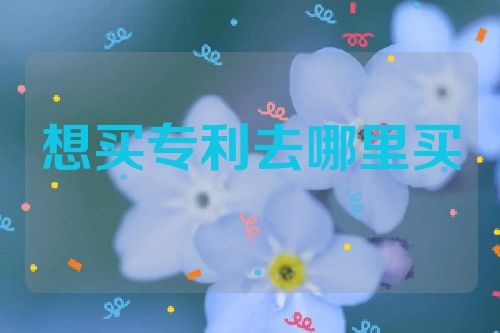 想買(mǎi)個(gè)專利去哪里買(mǎi)  第1張