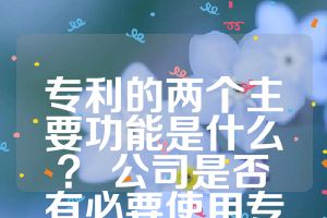 專利的兩個主要功能是什么？ 公司是否有必要使用專利來建立專利壁壘？