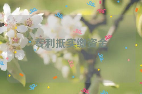 專利抵實(shí)繳資金