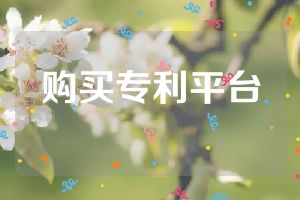 購(gòu)買(mǎi)專利平臺(tái)