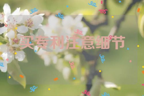 買專利，如何注意細節(jié)  個人買專利 專利好處 專利的好處 專利的價值 第1張