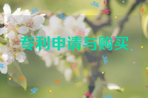 專利申請與購買的利弊分析  第1張