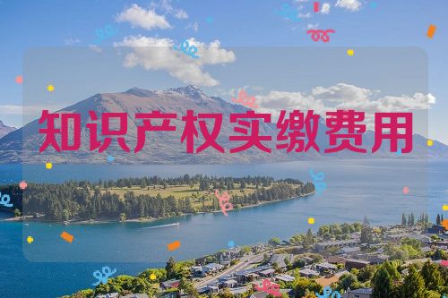知識產(chǎn)權(quán)實(shí)繳費(fèi)用