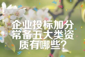 企業(yè)投標(biāo)加分常備五大類資質(zhì)有哪些？