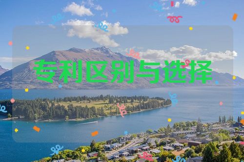 個(gè)人專利和公司專利的區(qū)別與選擇  專利申請(qǐng) 投標(biāo)加分 專利好處 專利壁壘 積分落戶 第1張