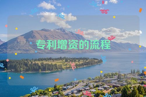 專利增資的流程