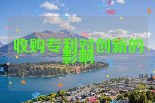 收購(gòu)專(zhuān)利對(duì)創(chuàng)新的影響