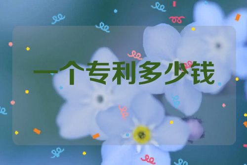 一個專利多少錢  第1張
