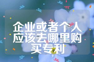 企業(yè)或者個人應該去哪里購買專利